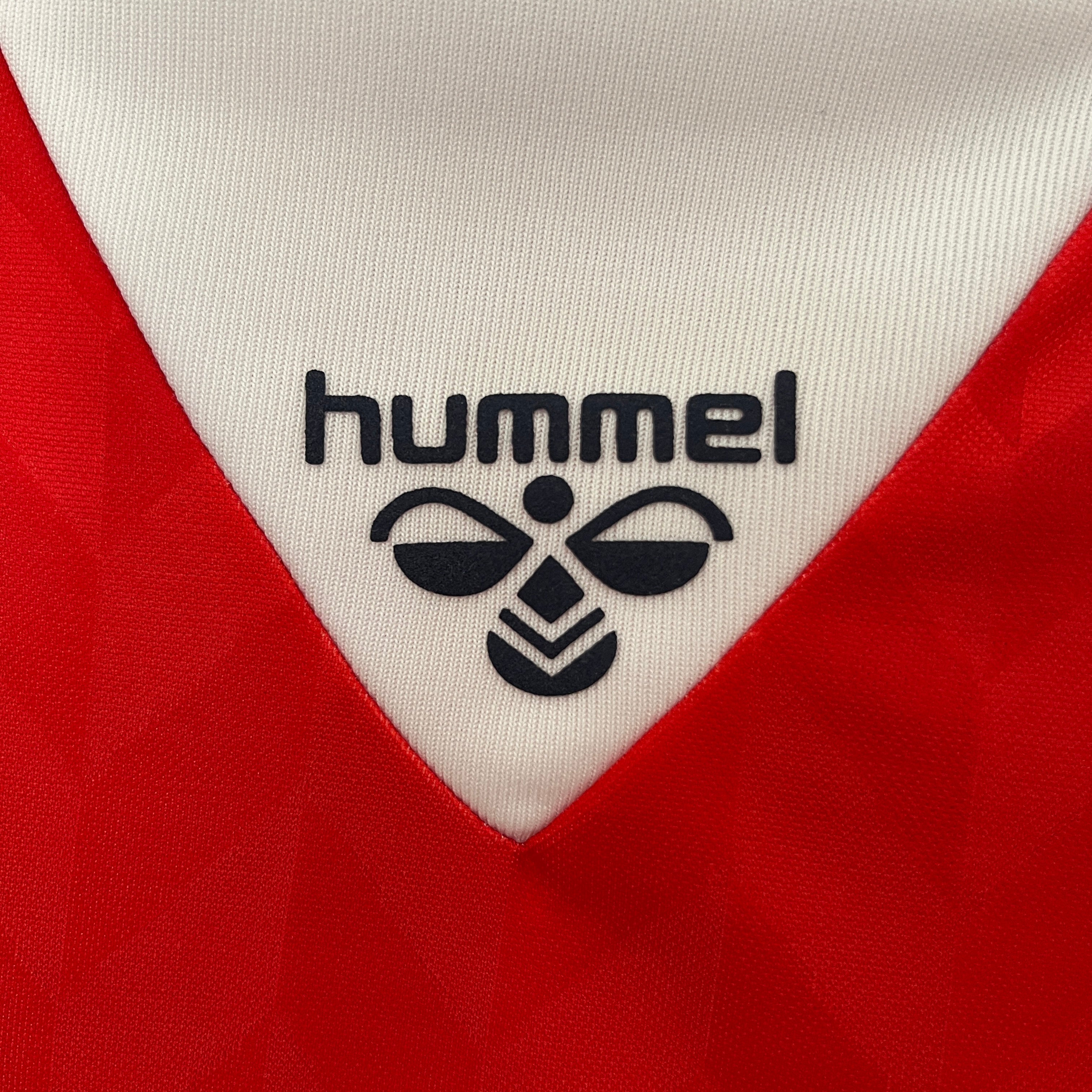 Danimarca Maglia Home 2026